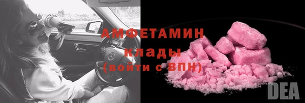 гидра Арсеньев