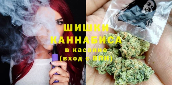 гидра Арсеньев