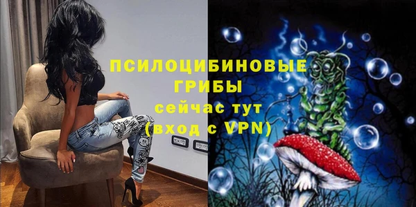 МДПВ Армянск