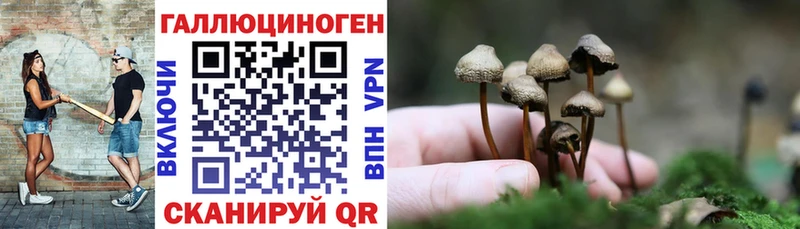 Псилоцибиновые грибы мицелий  блэк спрут   Островной 