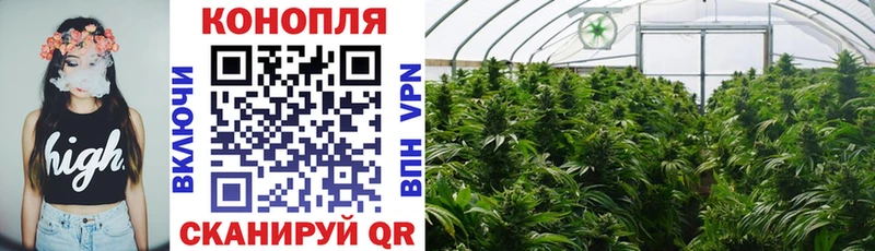 Конопля сатива где можно купить наркотик Островной